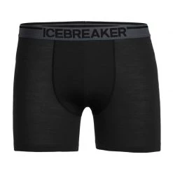 Icebreaker Boxers and panties Men's Anatomica Boxer