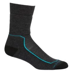 Icebreaker Women's Hike+ Medium Crew Socks