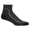 Icebreaker Men's Hike+ Light Mini Socks